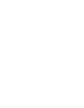 logo_BFg_W